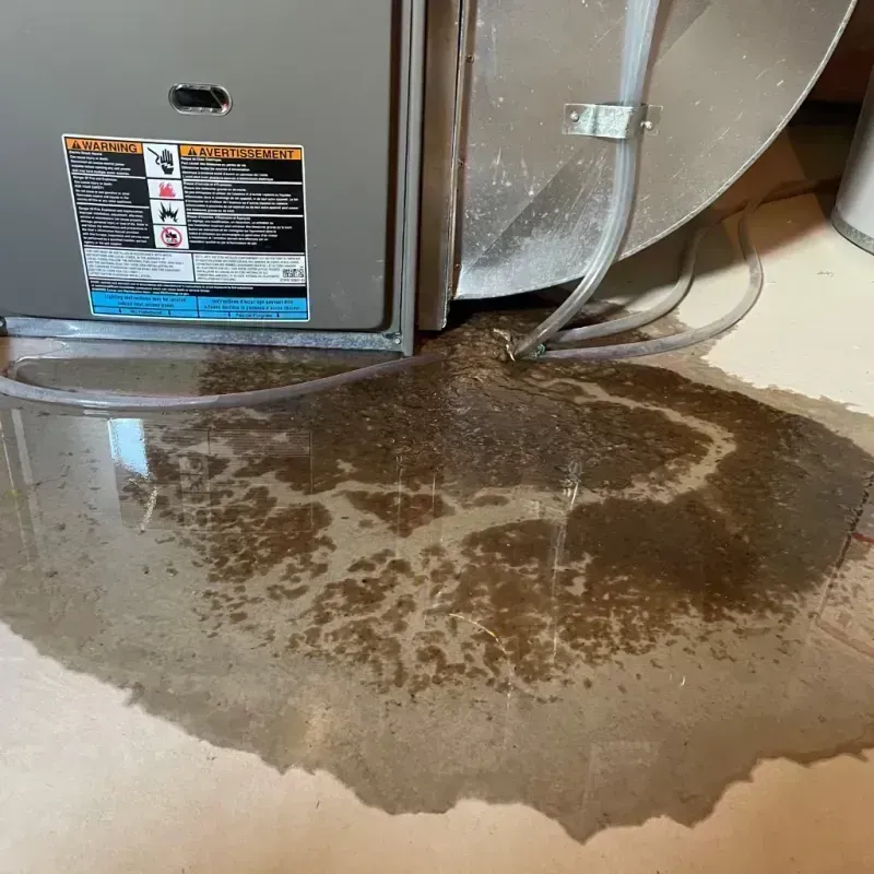 Appliance Leak Cleanup in Latimer County, OK